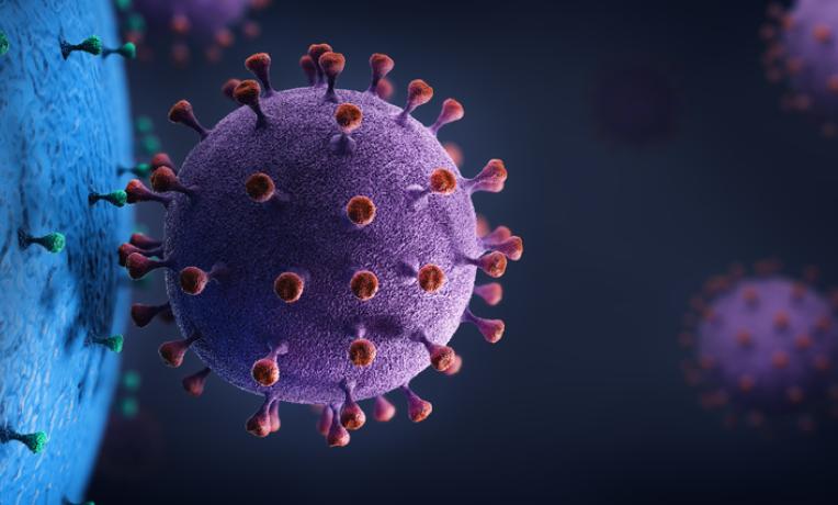 How viruses invade cells How viruses invade cells