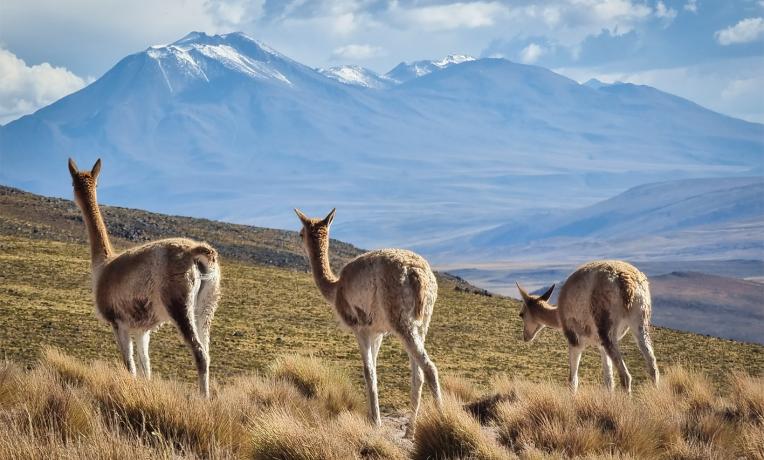 Lithium: a decarbonisation game-changer Lithium: a decarbonisation game-changer