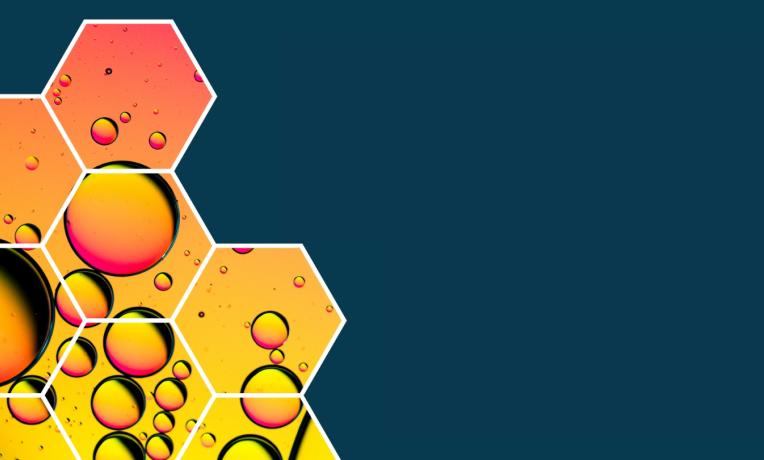 Science for Policy in Europe 