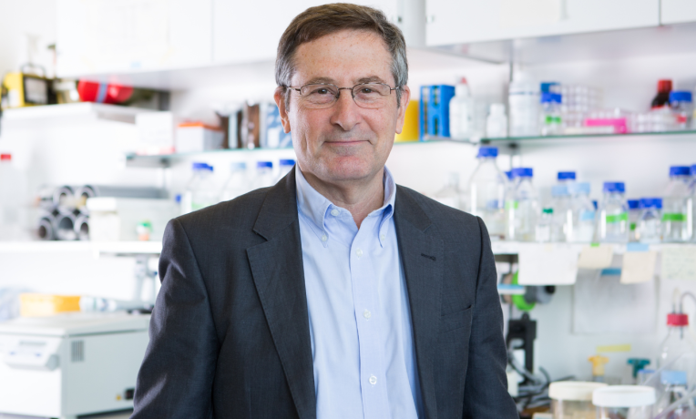 ERC grantee wins Balzan Prize for research on biological mechanisms of ageing ERC grantee wins Balzan Prize for research on biological mechanisms of ageing