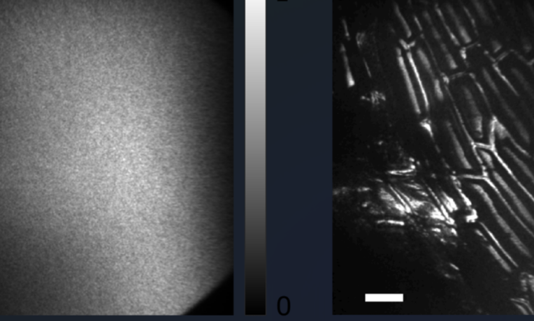 Revolutionizing Optical Imaging Revolutionizing Optical Imaging