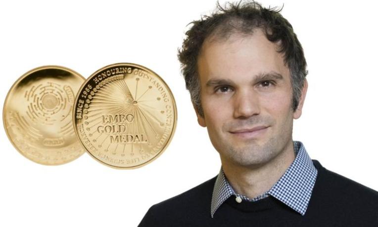 ERC grantee wins EMBO Gold Medal 2025 ERC grantee wins EMBO Gold Medal 2025