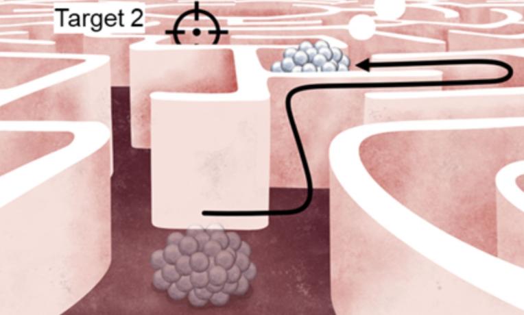 A microrobot reaches its first target and continues toward a second one by following a newly imagined path. A microrobot reaches its first target and continues toward a second one by following a newly imagined path.