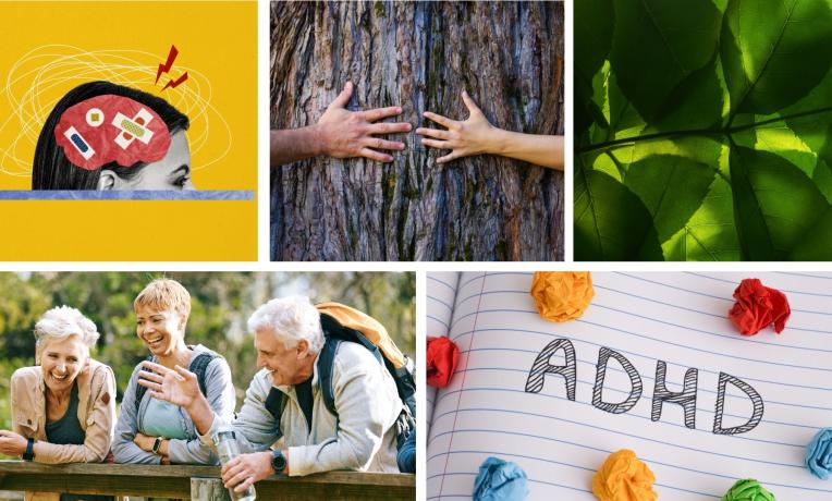 Starting Grants 2025 examples