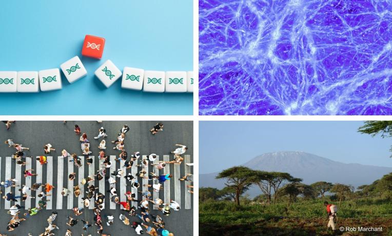 Synergy Grants 2025 Examples of projects