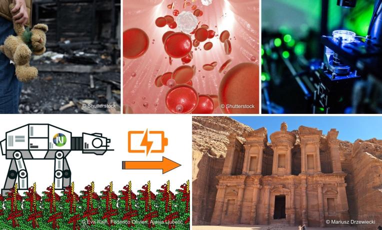 Consolidator Grants 2025: Examples of projects