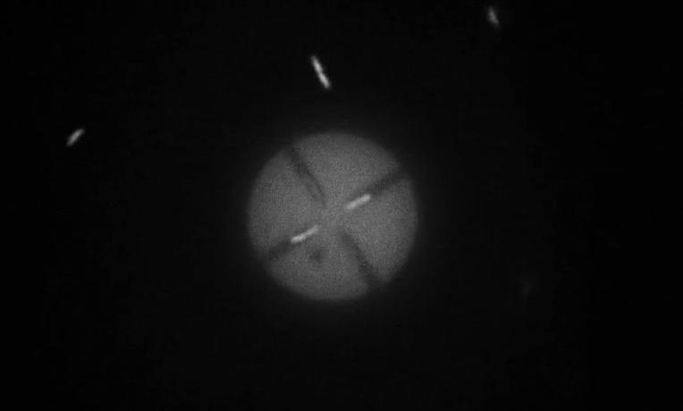 E. coli in confined spaces power symmetric discs
