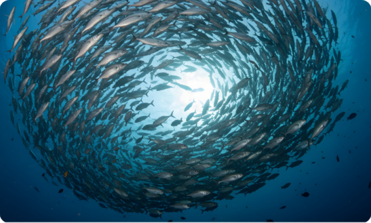 Who controls the science of the high seas? 