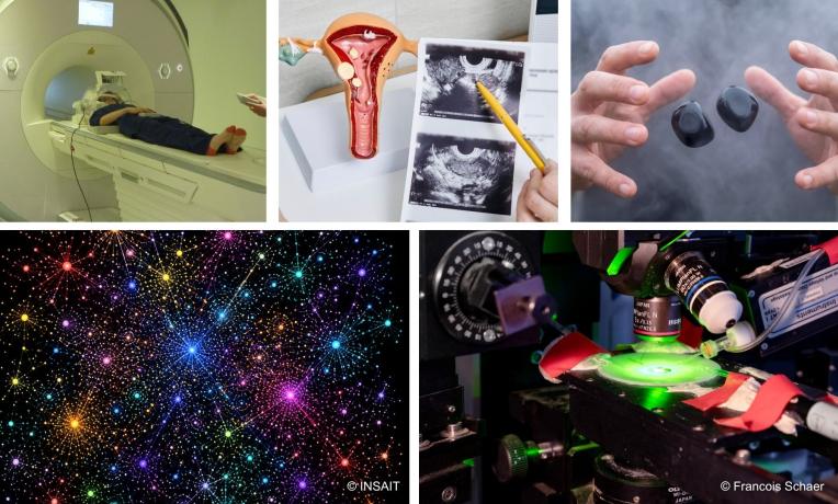 Advanced Grants 2025: Examples of projects