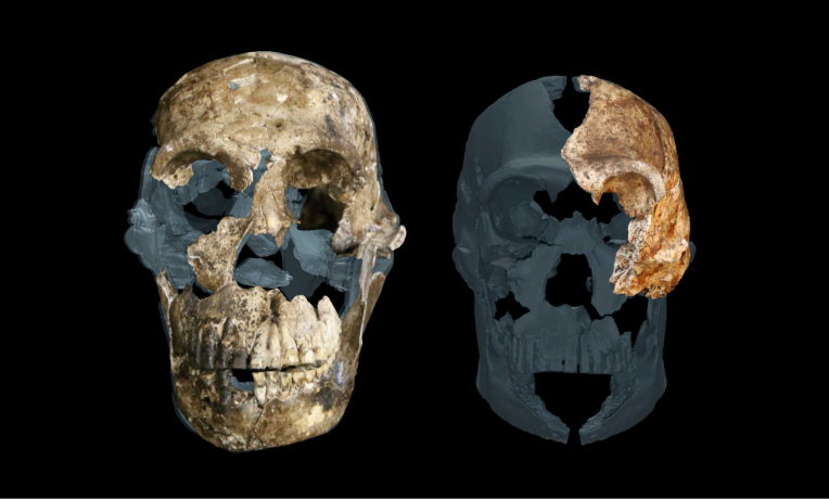 frontal-comparison-photo-ghost