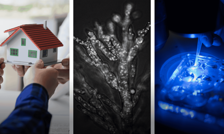 Research performed by ERC Starting Grant 2026 winners