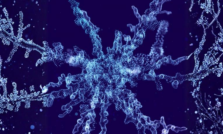 Europe’s biotech frontier: New ERC report charts breakthrough potential and barriers