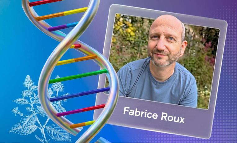 Fabrice Roux
