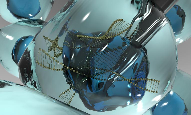 Cover image of Cell and gene therapy: first EIC-ERC workshop held Cover image of Cell and gene therapy: first EIC-ERC workshop held