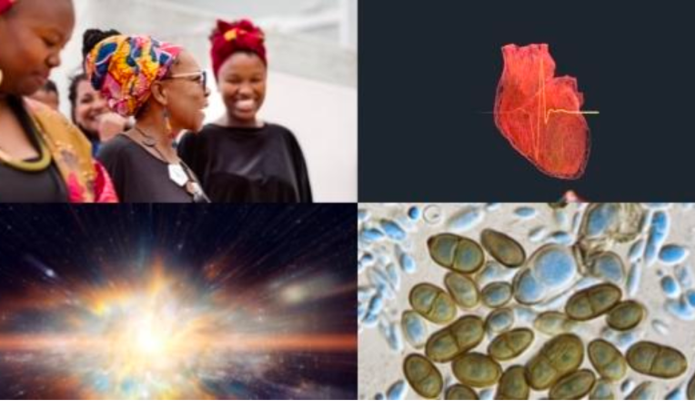 Cover image of ERC Consolidator Grants 2021 - project highlights Cover image of ERC Consolidator Grants 2021 - project highlights