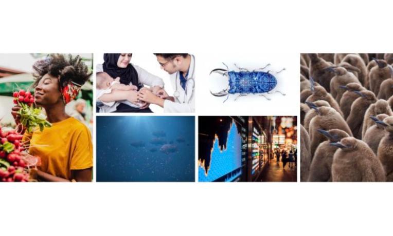 Cover image of ERC Starting Grants 2020: €677 million awarded to unravel scientific mysteries Cover image of ERC Starting Grants 2020: €677 million awarded to unravel scientific mysteries