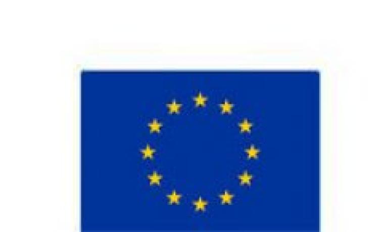 Cover image of Webinar Series 2021 Euraxess Worldwide & ERC: Grants for top researchers from anywhere in the world Cover image of Webinar Series 2021 Euraxess Worldwide & ERC: Grants for top researchers from anywhere in the world