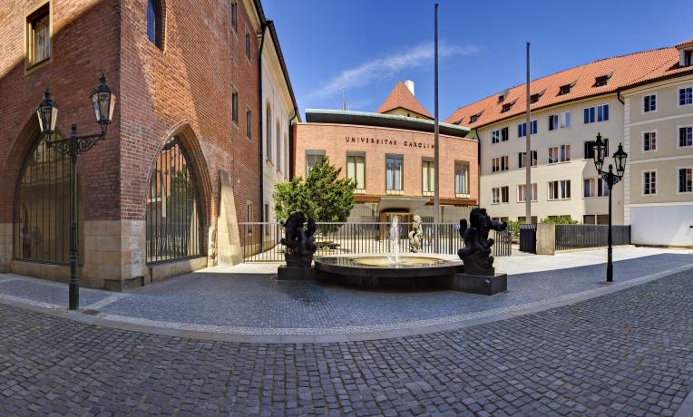 Cover image of Attracting ERC grants – spotlight on Charles University Prague Cover image of Attracting ERC grants – spotlight on Charles University Prague