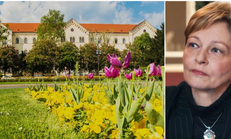 Cover image of ERC welcomes the first Croatian member of the Scientific Council