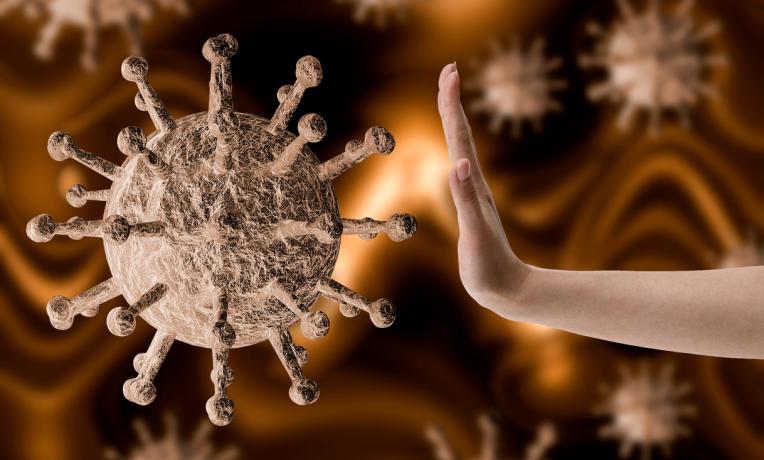 Cover image of Frontier research at the service of the coronavirus epidemic response