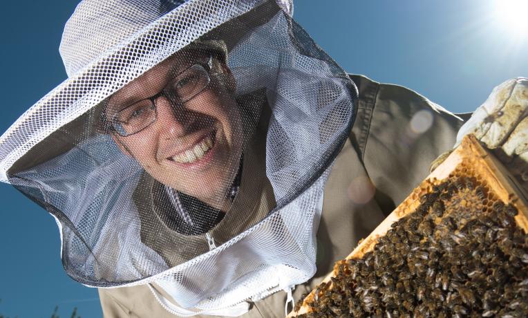 Cover image of Honey bees – what’s in their guts? Cover image of Honey bees – what’s in their guts?