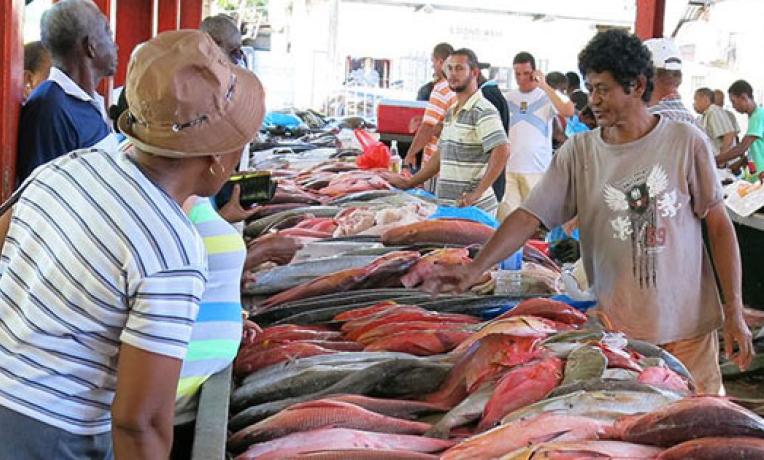 Cover image of Bet on fish to tackle malnutrition Cover image of Bet on fish to tackle malnutrition
