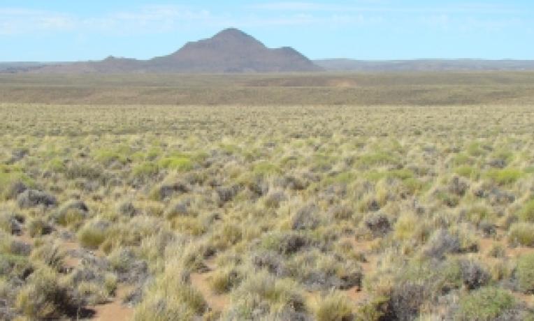 Cover image of Minimizing the effects of climate change on drylands Cover image of Minimizing the effects of climate change on drylands