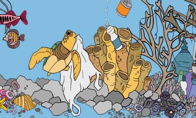 Cover image of Busting the myths about ocean plastic