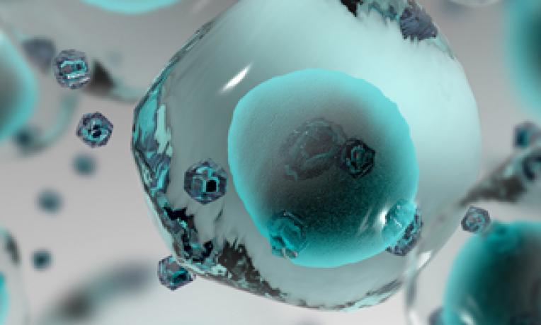 Cover image of World Multiple Sclerosis Day: ERC funded research