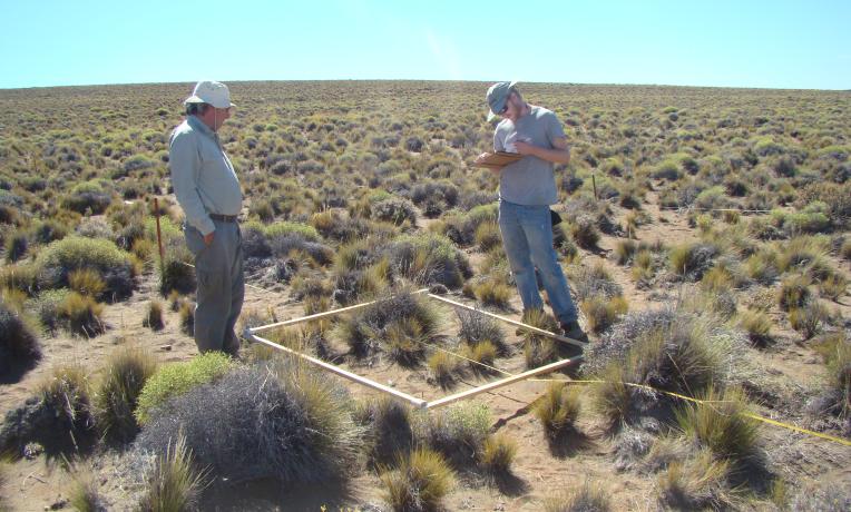 Cover image of New insight into links between biodiversity and climate change mitigation in global drylands
