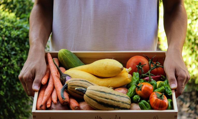 Cover image of The online world of food sharing Cover image of The online world of food sharing