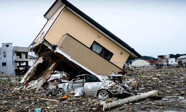 Cover image of Factoring in human behaviour during emergencies Cover image of Factoring in human behaviour during emergencies