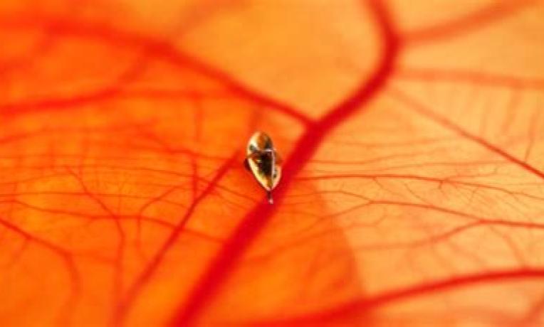 Cover image of Microrobotics meets nanomedicine for improved eye surgery Cover image of Microrobotics meets nanomedicine for improved eye surgery