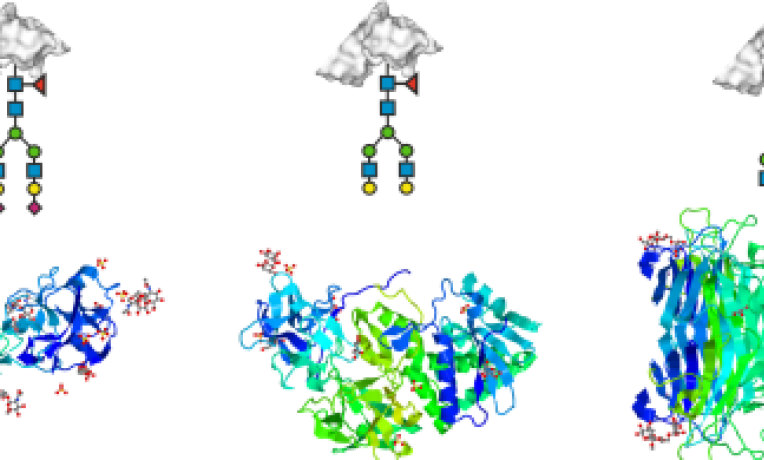 Cover image of Sweet solutions for detecting disease Cover image of Sweet solutions for detecting disease