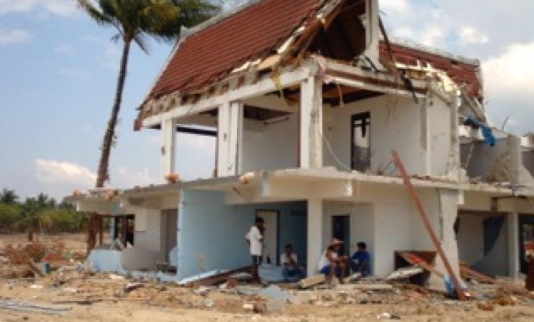Cover image of The aftermath of a tsunami