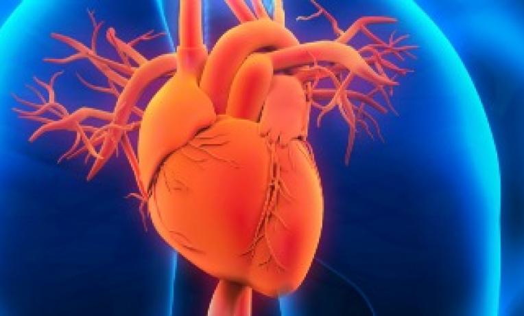 Cover image of Broken hearts may be repaired