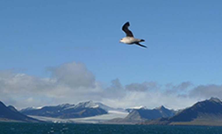 Cover image of From blue ocean to icy clouds Cover image of From blue ocean to icy clouds