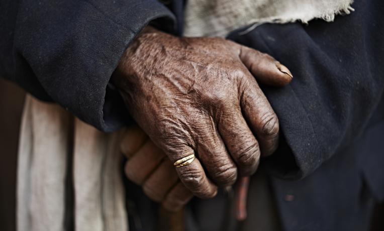 Cover image of What makes our hands unique?