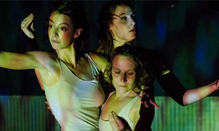 Cover image of The dancing particles