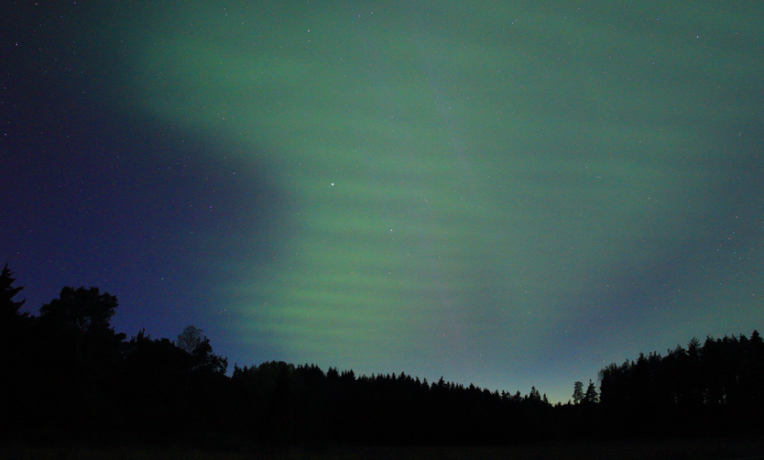 Cover image of The night sky from your window Cover image of The night sky from your window