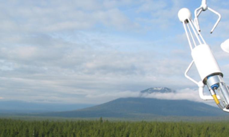 Cover image of Forests to combat global warming Cover image of Forests to combat global warming