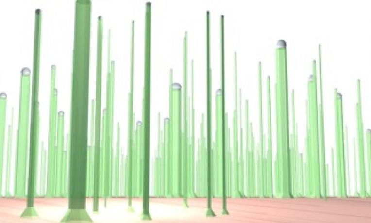 Cover image of Throwing light on to nanowires Cover image of Throwing light on to nanowires