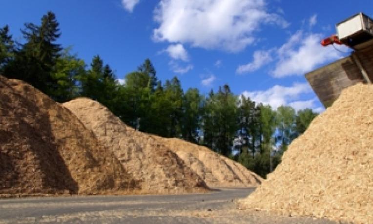 Cover image of ERC supports the transition to a global bioeconomy