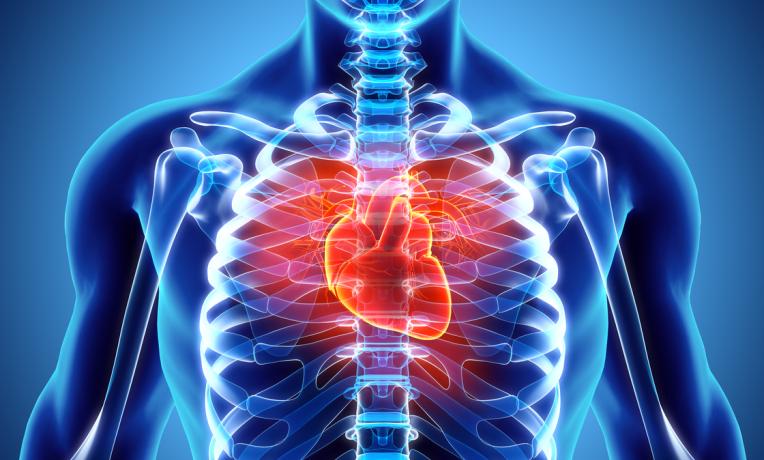 Cover image of Regenerative therapies for heart disease Cover image of Regenerative therapies for heart disease