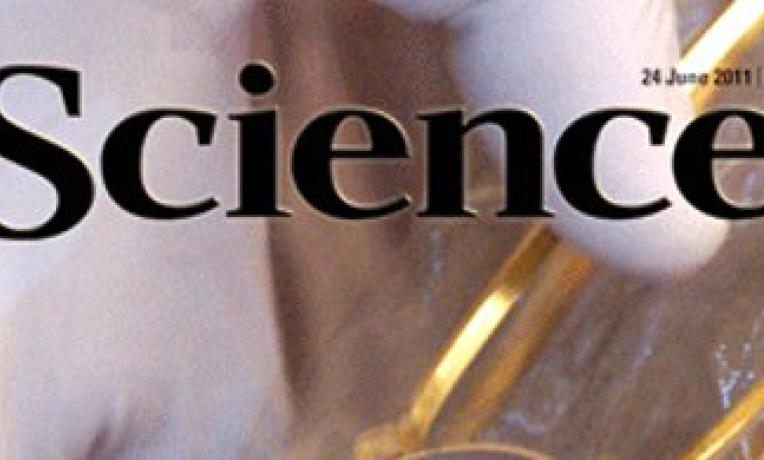 Cover image of ERC Grantee's findings lead story in Science Cover image of ERC Grantee's findings lead story in Science