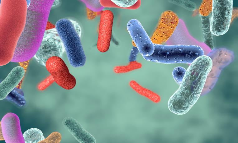 Cover image of Antibiotic resistance: How did we get here?