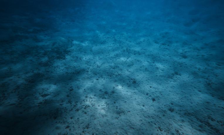 Cover image of Life in the deep – microbes of the abyss