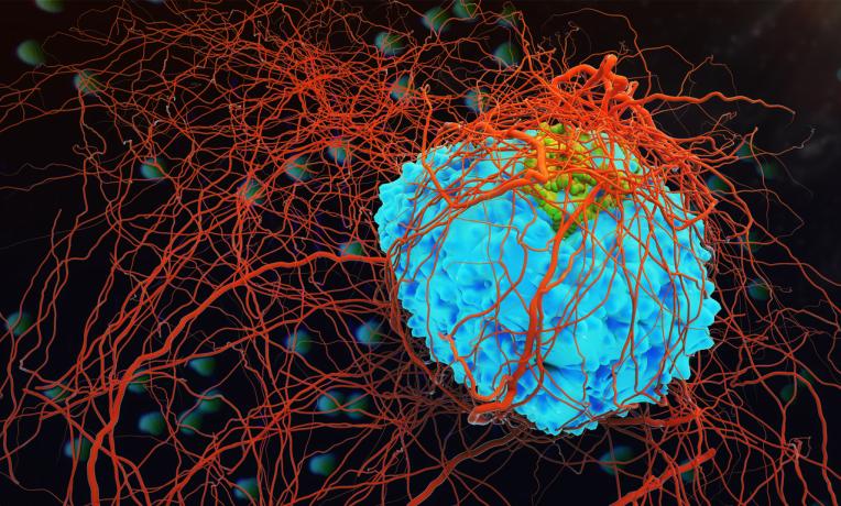 Cover image of Spotting the killjoy cell Cover image of Spotting the killjoy cell