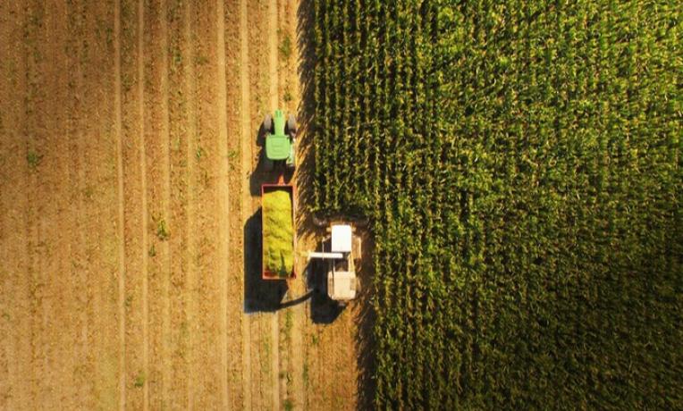 Cover image of New app tells farmers how much fertiliser their crops need Cover image of New app tells farmers how much fertiliser their crops need