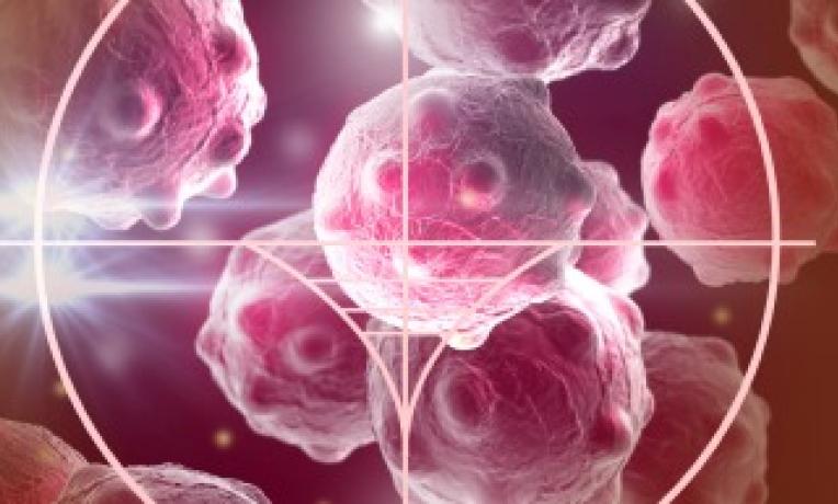 Cover image of Studied malaria, found cancer treatment Cover image of Studied malaria, found cancer treatment